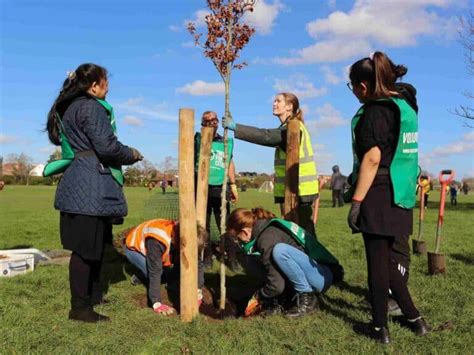 tree planting charity|plant a tree donation uk.